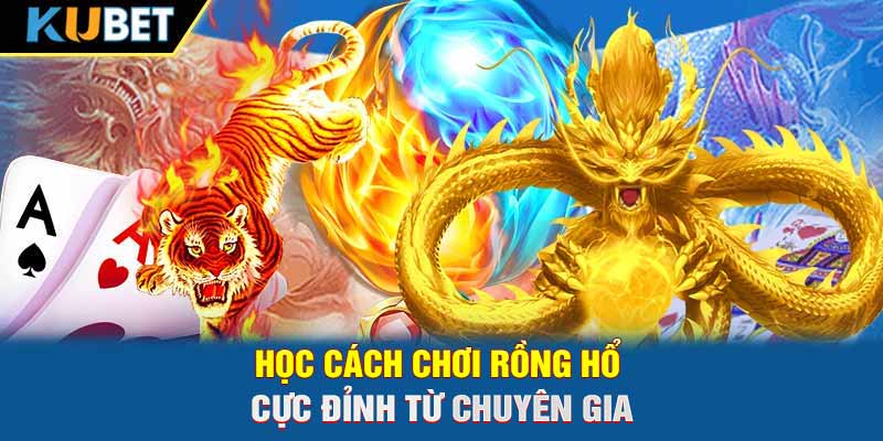 Học cách chơi Rồng Hổ cực đỉnh từ chuyên gia